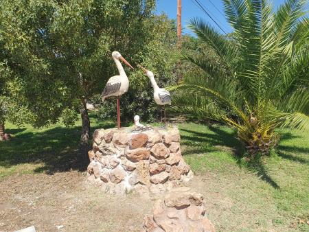 Imagen TENEMOS DOS NUEVAS VECINAS